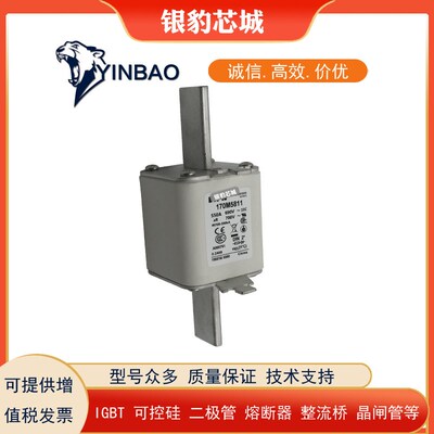 170M5808/09/10/11/12/3813/4808/5809/6810熔断器保险丝型号齐全