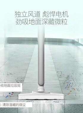 德尔玛DX700吸尘器家用大吸力手持式大功率强力真空除尘机DX700S