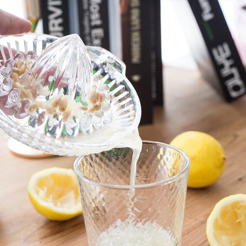 进口东洋佐佐木家用便携式手动榨汁器水果柠檬玻璃榨汁机