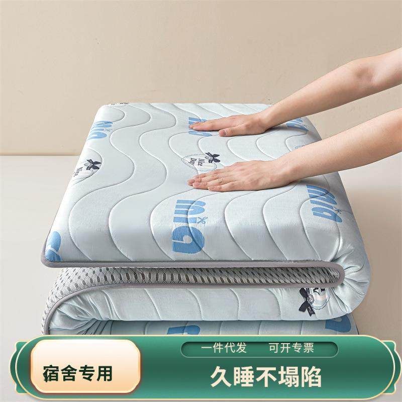 2025新款超柔水洗棉加厚床垫学生垫地铺睡垫,玩具/童车/益智/积木/模型,毛绒/玩偶/公仔/布艺类玩具,淘宝优惠券,粉丝福利购,淘宝优惠卷
