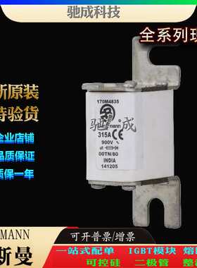 巴斯曼170M4834 170M4835 170M4770 现货供应厂价直供 低压保险丝