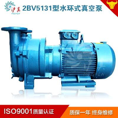上海液环真空泵 循环水11KW工业多用途2BV5131水环式真空泵厂家