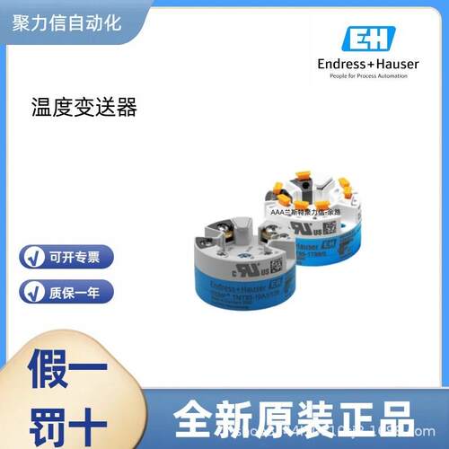 TTR31-A1C111AB1BAB 恩德斯豪斯E+H 热电阻