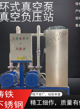 2BV液环式真空泵工业用机组 高真空负压站 不锈钢叶轮 压缩机自吸