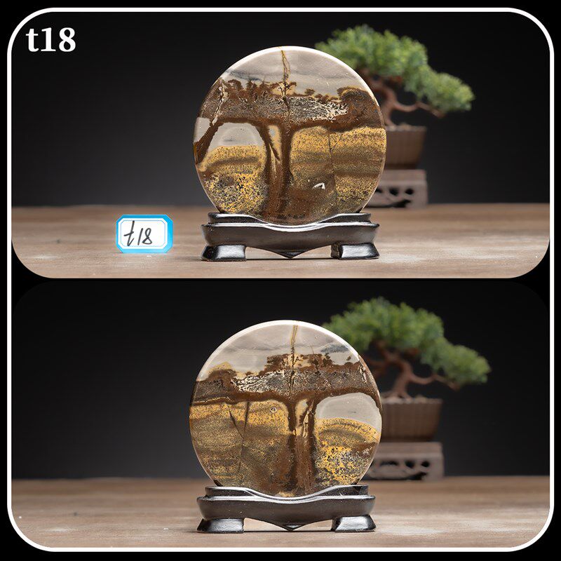 广西国画石草花石奇石直径9CM带底座正圆小薄片摆件t1-t26