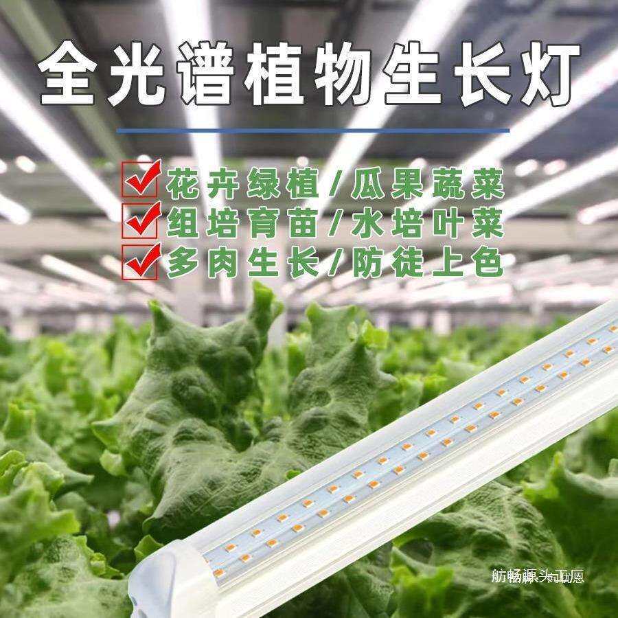 未来植物补光灯全光谱植物生长灯水培叶蔬菜组培育苗绿植花卉草莓