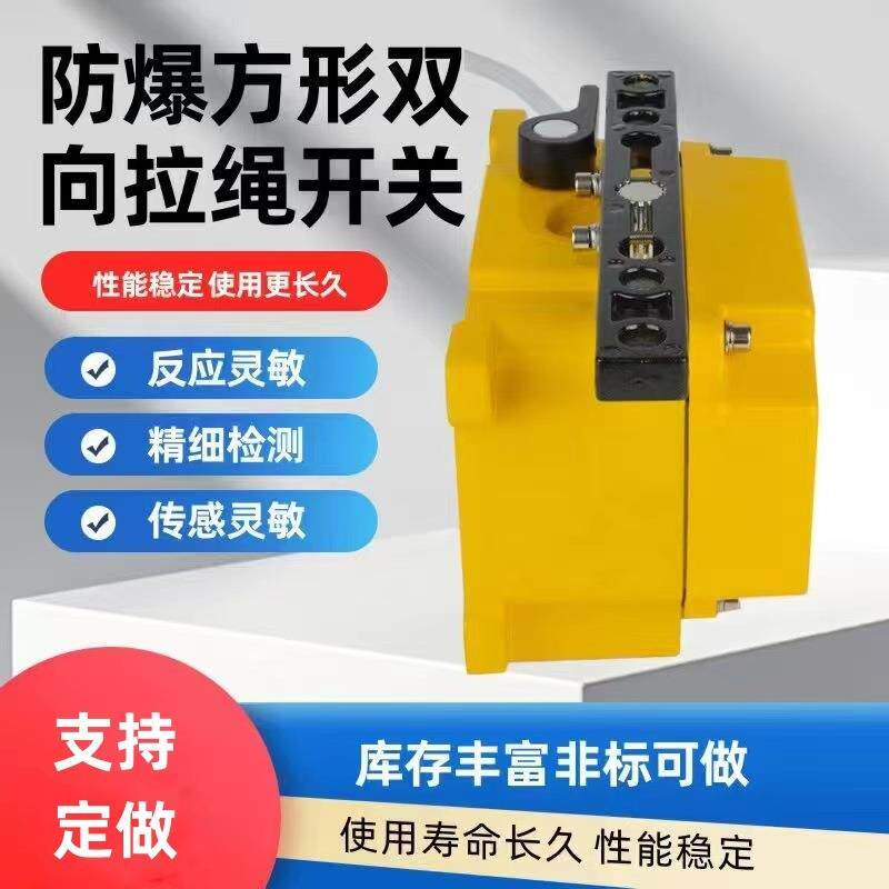 .SPS-2D方形拉绳方形跑偏拉线开关RuOS-y2D拉绳开关BM-2方形防爆