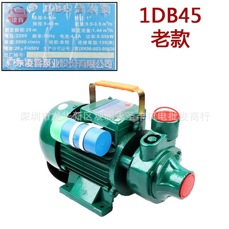 广东凌霄1DB35 1DB45 1DB65 -B清水泵 家用抽水泵330W 550W 750W