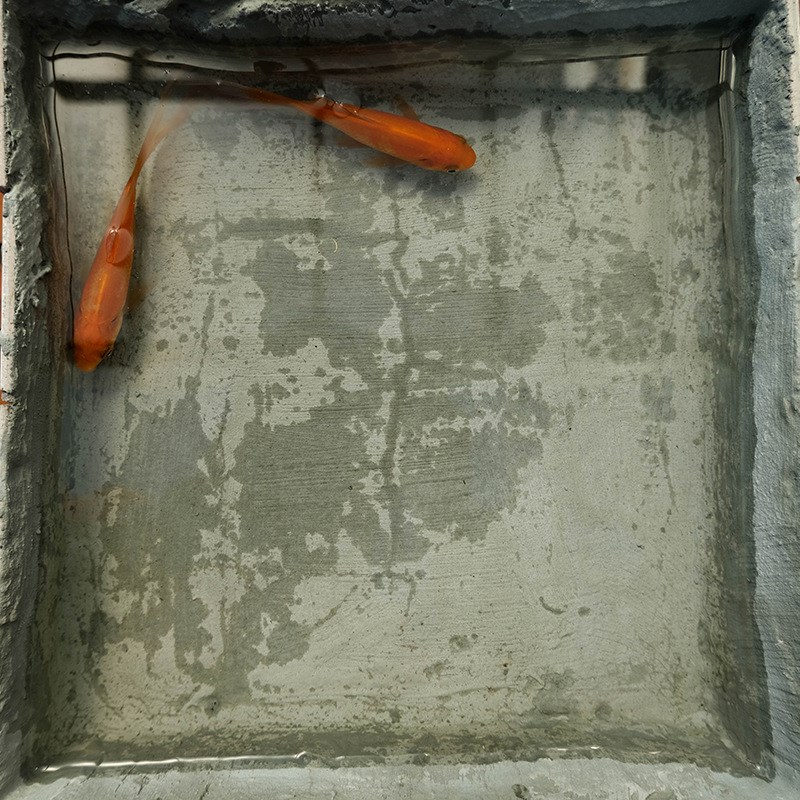 JS聚合物卫生间防水涂料K11楼顶屋顶外墙鱼池防漏补漏材料防水胶