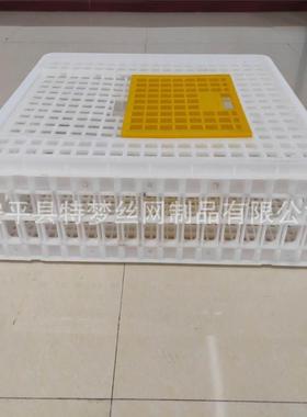 鸽运输笼塑料鸽鸡兔运输笼鸡鸭PFG鸽兔周箱鸽笼转鸽具