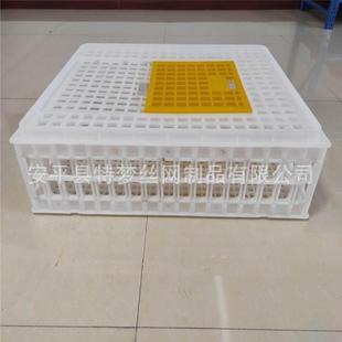 鸽运输笼塑料鸽鸡兔运输笼鸡鸭PFG鸽兔周箱鸽笼转鸽具