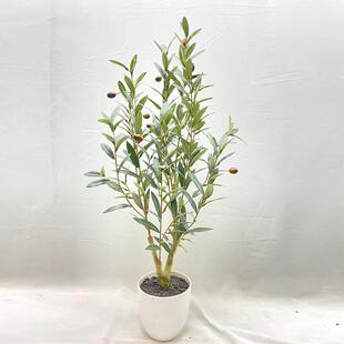 仿真绿橄榄橄树家植居景客厅办公室仿真榄树盆客厅沙发旁落综合可