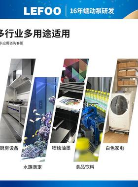 力夫微蠕动泵12V2V无刷型LHT电机精4密微量自灌装工业吸小抽水泵