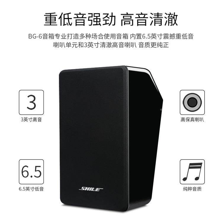 狮业乐BG-6会专音箱设背景议音乐613536.5寸影院壁挂倾斜式音响备