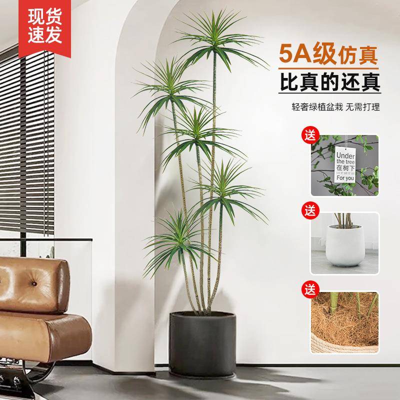 落摆绿植假栽植物轻奢客厅装饰树室内大ws-052型盆龙血树地件仿陵