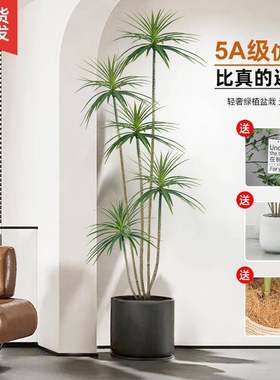 落摆绿植假栽植物轻奢客厅装饰树室内大ws-052型盆龙血树地件仿陵