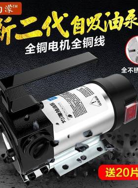 正反转动抽油AIX泵12V242抽20V电伏自吸泵直流油泵柴油泵V加油机