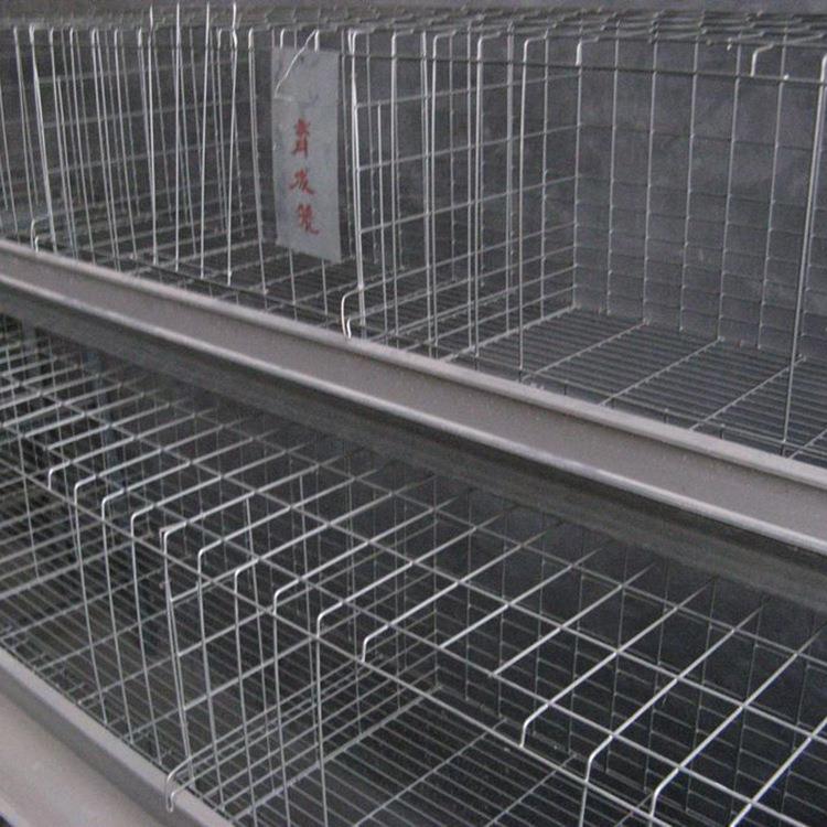 阶式层鸡笼养殖场专用IOO鸡笼子64位铁丝笼梯家用笼养鸡鸡设备组