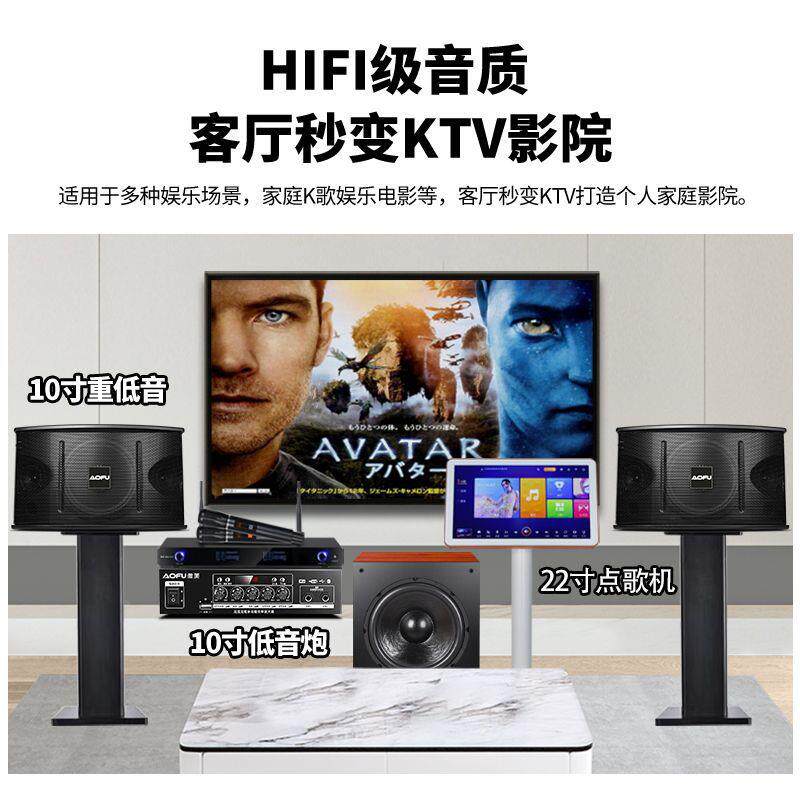 傲芙专业10全寸家用装点XHJ歌机KTV卡拉音OK豪华家庭专业响套音套