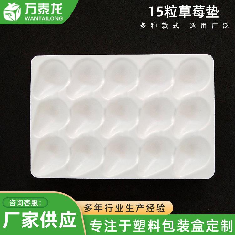山东1GUB子5粒草托莓包装收纳盒子水果塑料透明盒内单层生鲜包装
