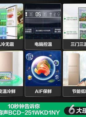 容声51升17219电箱三2开门三温区风冷无霜电脑控节冰能省电冰温箱