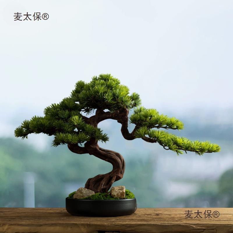 客实厅木迎客松酒店桌面景玄关绿植物假松树罗麦汉松盆室麦太保内