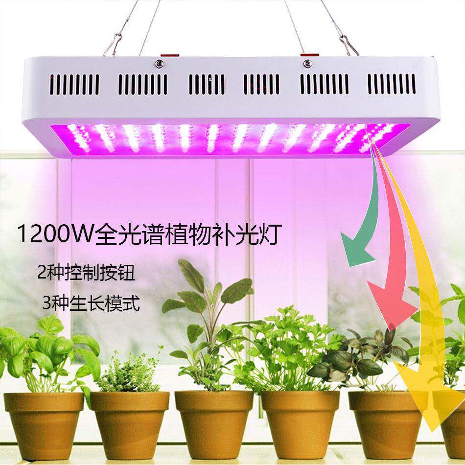 12物00W光谱植补光灯LED功率灯珠植大物灯OYS花卉多全肉植物生长