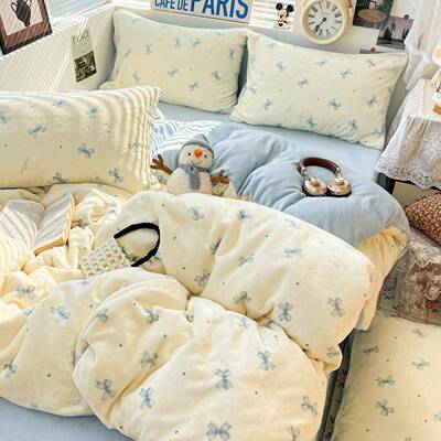 两双面加被套202500被芯件套可拆珊洗棉被冬被保暖瑚绒被子全套绒