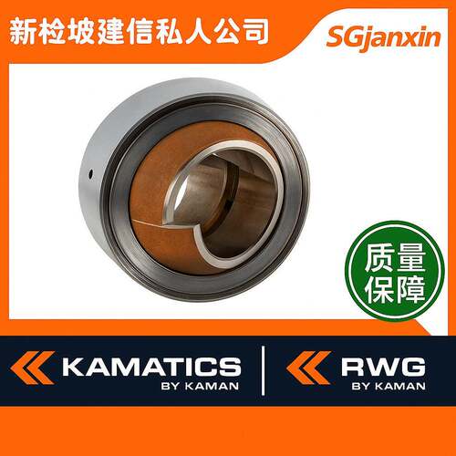 德国进口RW轴承EN4038R33054045GUJU50P轴承