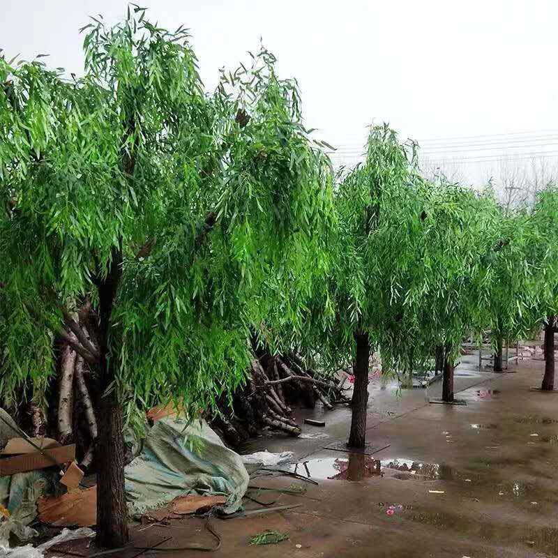 假柳饰树包邮橱仿TB604810真树室内树造型树装假树假柳树枝窗道柳