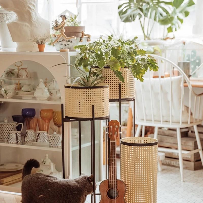 极简盆日式仿客藤编花架厅室TQC阳台花架可移动现代落地绿植展示