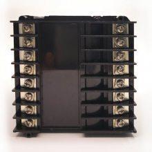 667表XSD2-1IIS2V0多通道热工表上海H上润仪上海上润A仪表