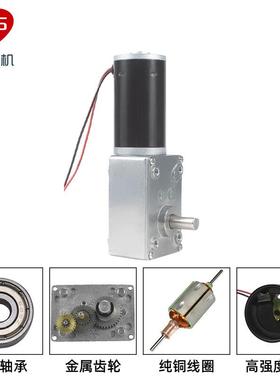 立盛5Z84UXA0-31Y微型直流减速电机钢齿轮蜗杆调速马慢速达12V24V