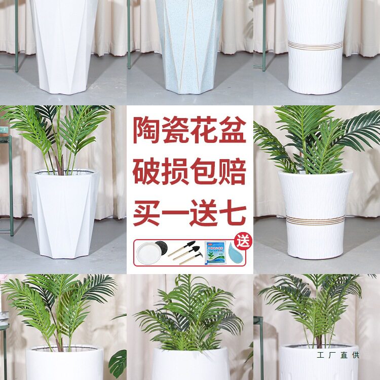 特大号陶瓷花盆大口径家用客厅落地发财树龟背竹白色几何花瓶
