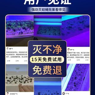 灭灯喜来乐商铺20无品牌/2蚊5款灭灯餐蝇厅饭店用商用挂墙苍新蝇