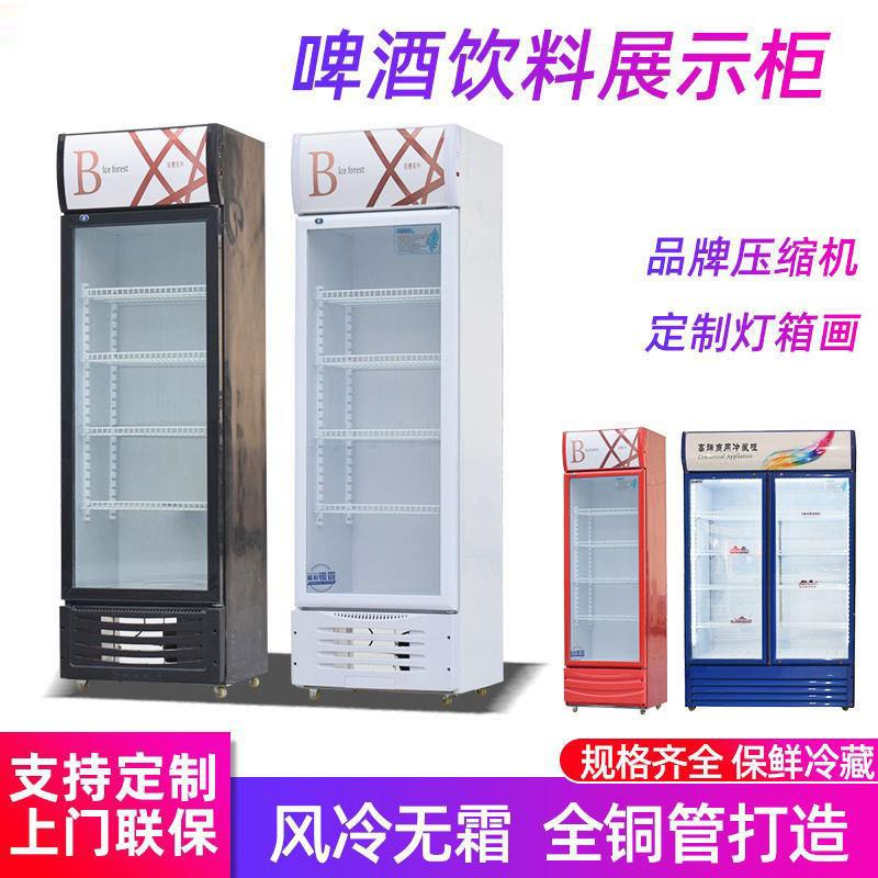 麦饮料啤酒柜商用立式单丰蔬门冷展示柜水果菜藏FXB双开门保鲜柜