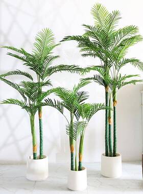 仿真多杆散尾葵OYQ树绿高端轻奢大型落装地热带植植物店造景铺橱