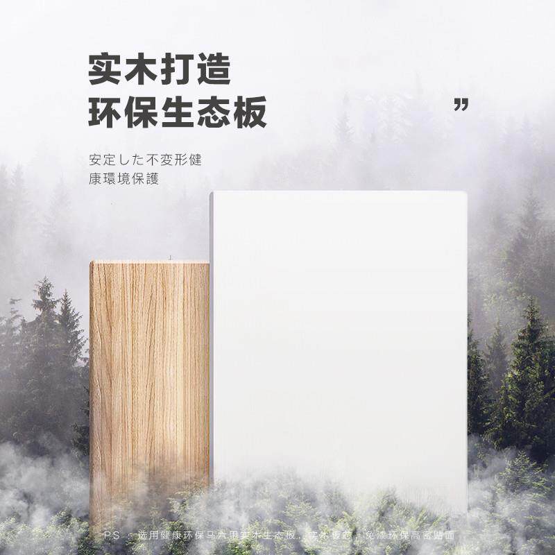 隐形穿衣镜推可关试闭拉隐藏暗藏式玄关衣镜63169镜子贴墙全身遮