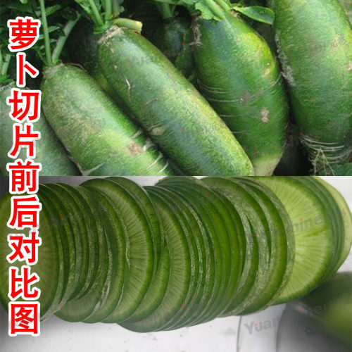 四口水果切片机 蟠桃橙子果蔬切片机 金桔洋柿子切片设备自动机械