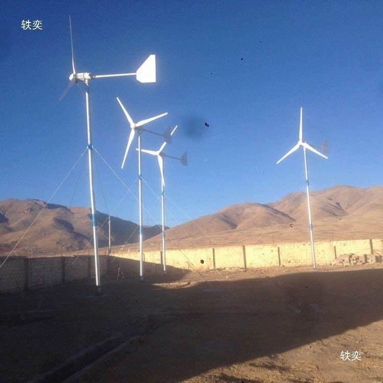 200用0W风发电机力家220V迷足功率小型你水平轴风机TCU玻璃钢叶片