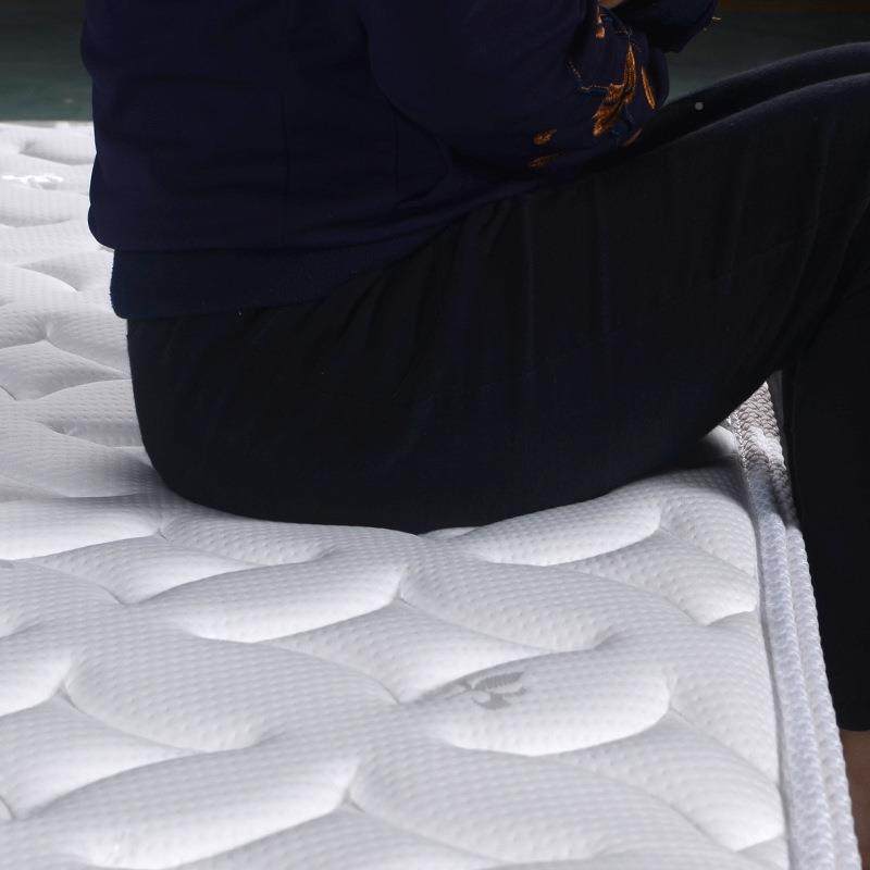 乳胶弹簧床卧QIN8室单双人1.5m1.垫米椰棕家用酒店寓公软硬两用防,鲜花速递/花卉仿真/绿植园艺,其它园艺用品,淘宝优惠券,粉丝福利购,淘宝优惠卷