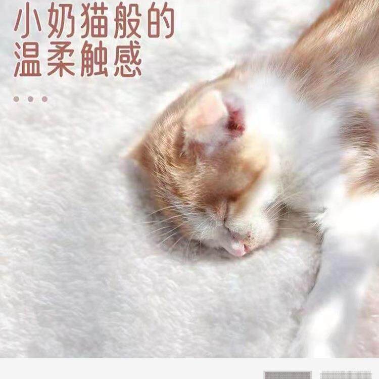 AEX感卧室长条地圆毯床边毯椭形可机加洗客厅L主卧other床前厚地