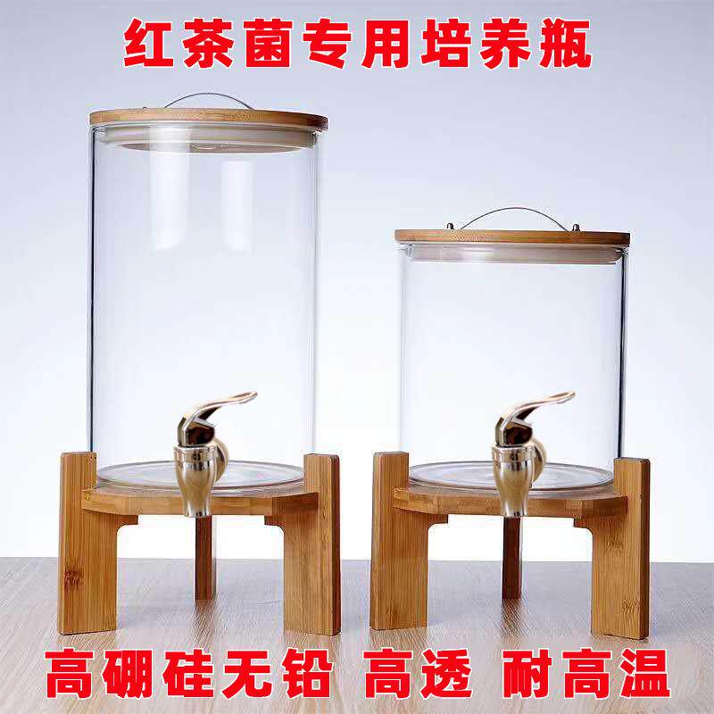 红茶菌胃培养瓶高硼硅铅玻无璃243瓶酵素瓶泡养酒宝瓶家用容器加