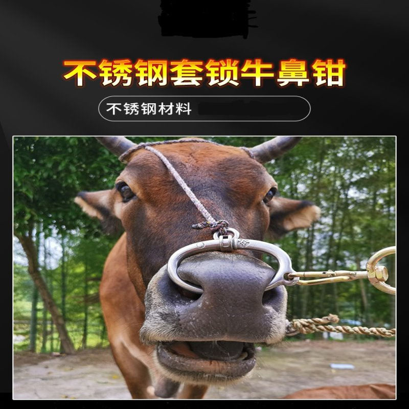 不锈钢牛鼻环牛鼻圈养牛设备器械牛鼻钳子夹子牛鼻牵引免打孔