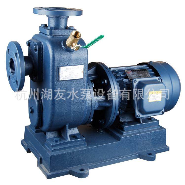 直联自吸泵100BZ-20100Z无品牌/-B30B100Z-32式清水泵