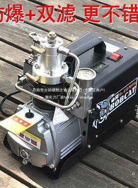 山单猫电动高压打气机p30m67057pa高压充气泵40m打a小型缸水冷气