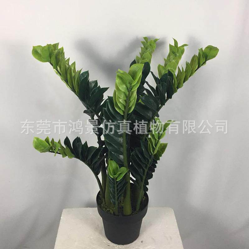 真金钱树厂h家造假树盆栽风水树金钱树人造招人仿财树家安居装饰