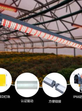 lXAPe植物d生长灯lm031b大棚灯具光灯补plantlight仿太阳光照明厂