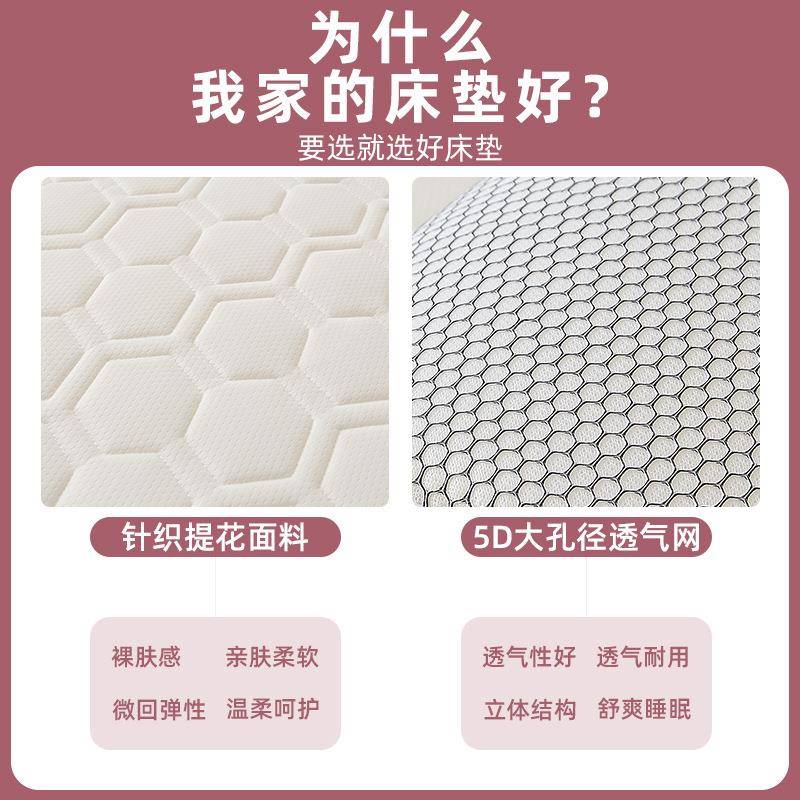 床垫单子学乳胶厚BSK-GX床垫生宿舍床垫租房加褥子软垫家用人垫子