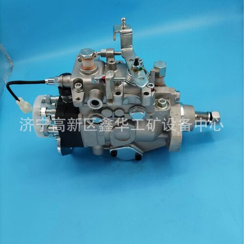 销售VE泵总成22100-5D230 221005D230 196000-41911 19600041911